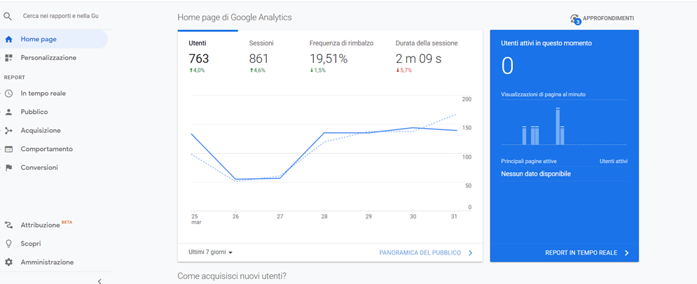 L'importanza di usare Google analytics e i dati presenti nella home page